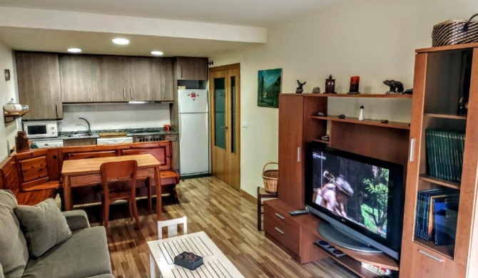 BONITO APARTAMENTO EN AINSA