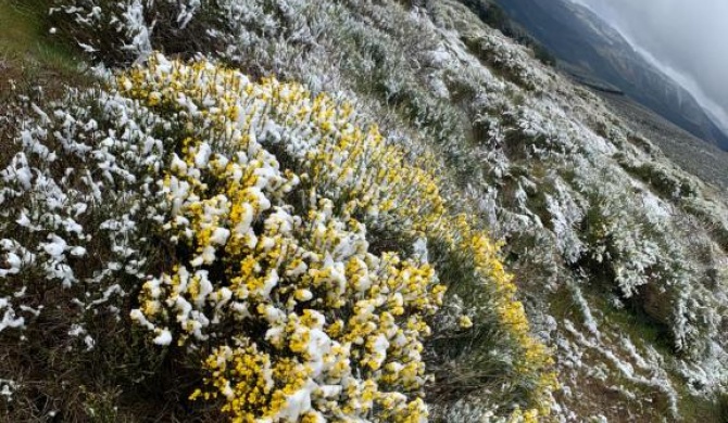 la cabaña de gredos