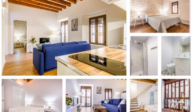 Stunning apartment in central Seville